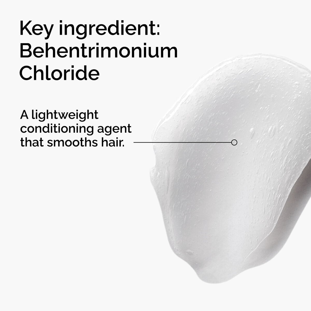 behentrimonium-chloride-2-conditioner-v3 FY25-D41247-ORD-Web-PDP-BTC-1x1-EN-2a.jpg