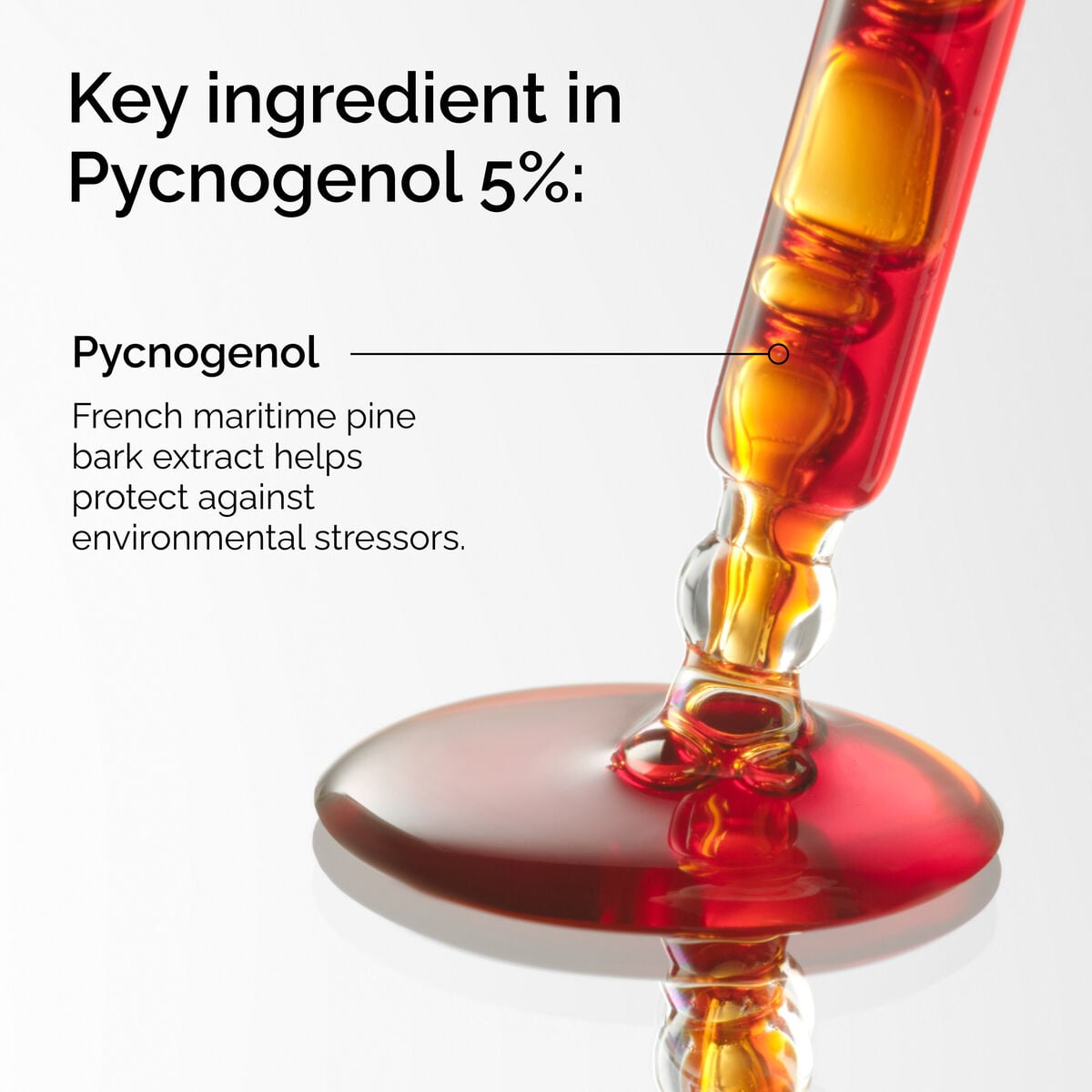 pycnogenol-5-r1 FY25-D41247-ORD-Web-PDP-Pyc-5pct-1x1-EN-2a.jpg