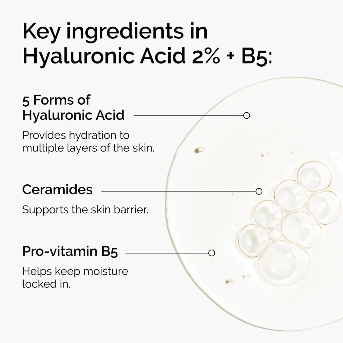 hyaluronic-acid-2-b5-with-ceramides-y7 ord-hyaluronic-acid-2pct-b5-hydrating-serum-ingredients-graphic.jpg