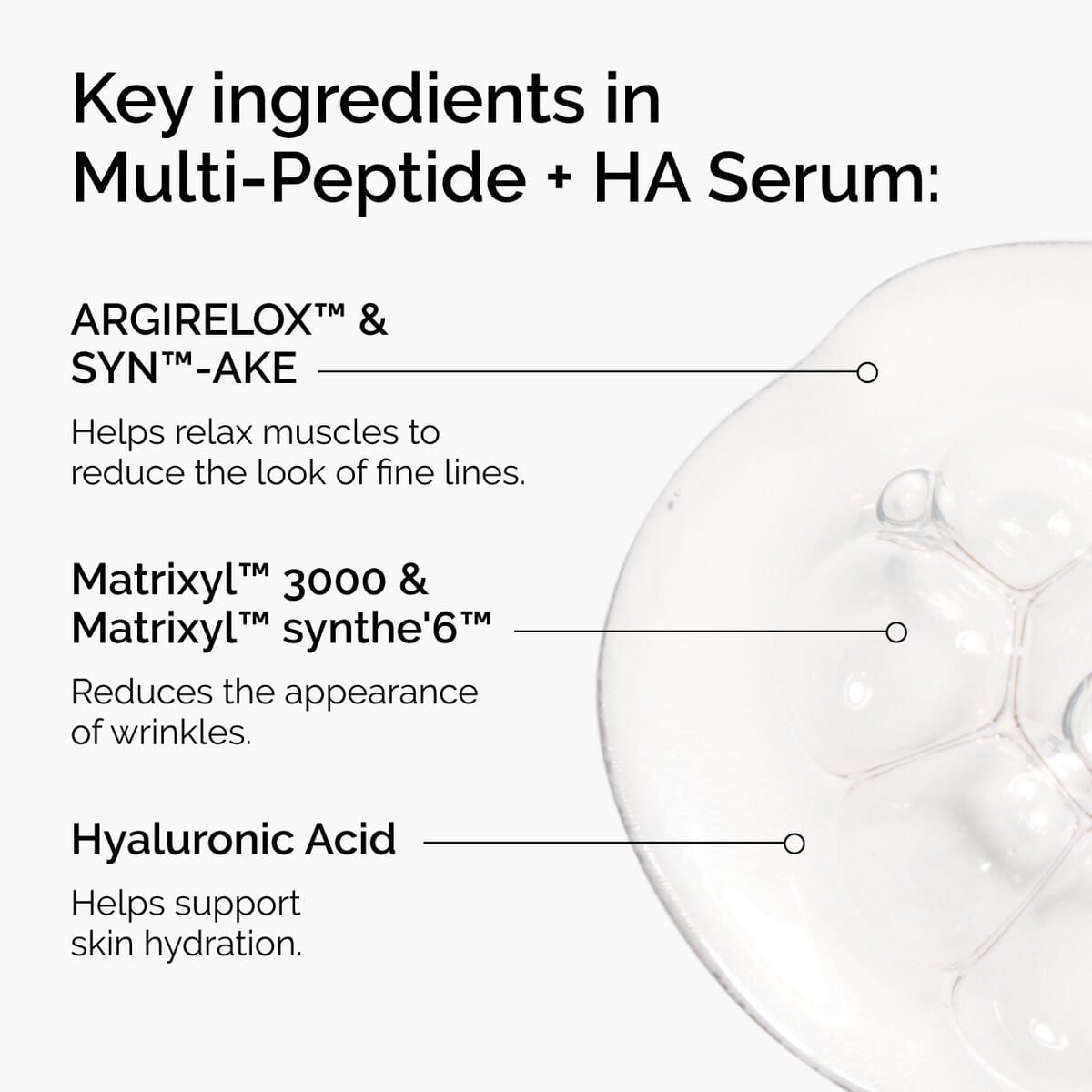 the-age-support-set-h0 ord-multi-peptide-ha-ingredients-graphic.jpg