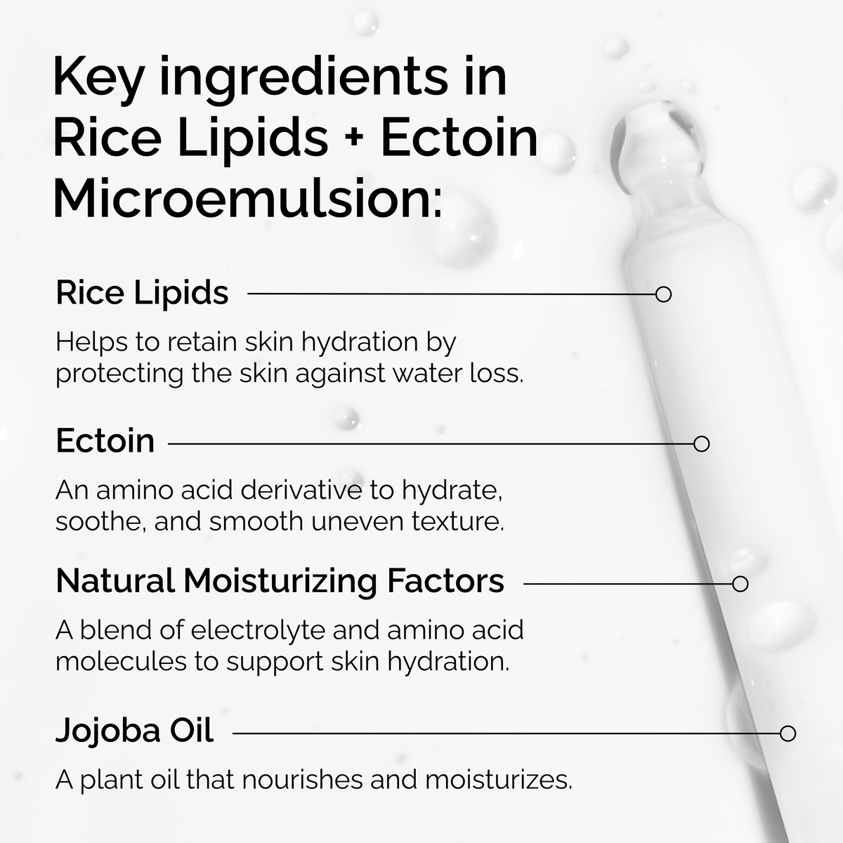 rice-lipids-ectoin-microemulsion-s8 ord-rice-lipids-ectoin-microemulsion-key-ingredients.png