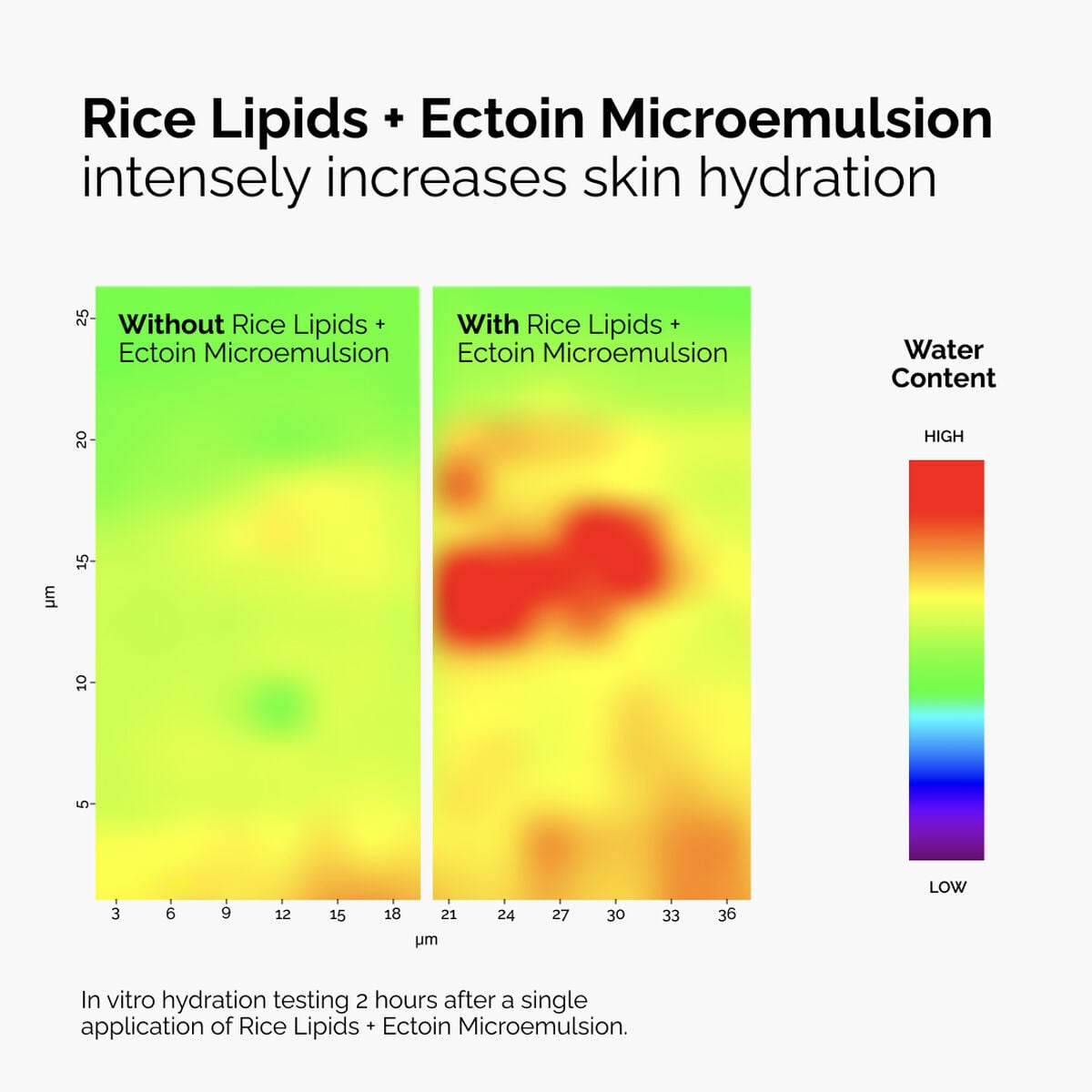 rice-lipids-ectoin-microemulsion-s8 ord-rice-lipids-ectoin-microemulsion-thermal-before-after.jpg